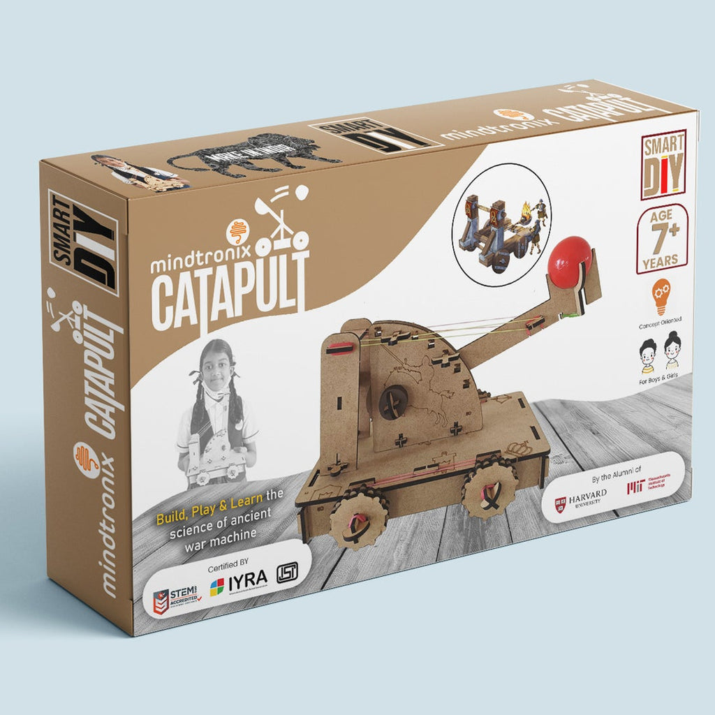 DIY Catapult